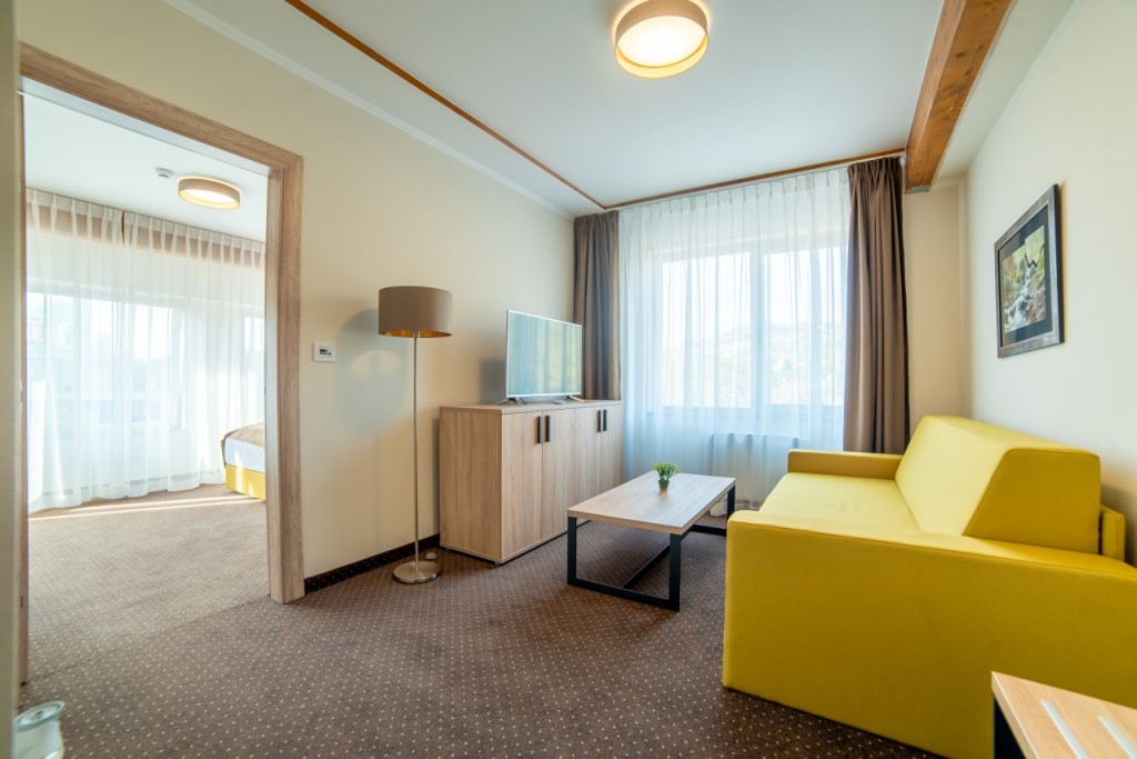 Hotel Soni Lux - suite