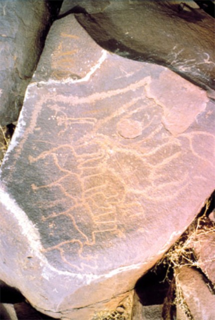 Ancient rock art in the Anti Atlas