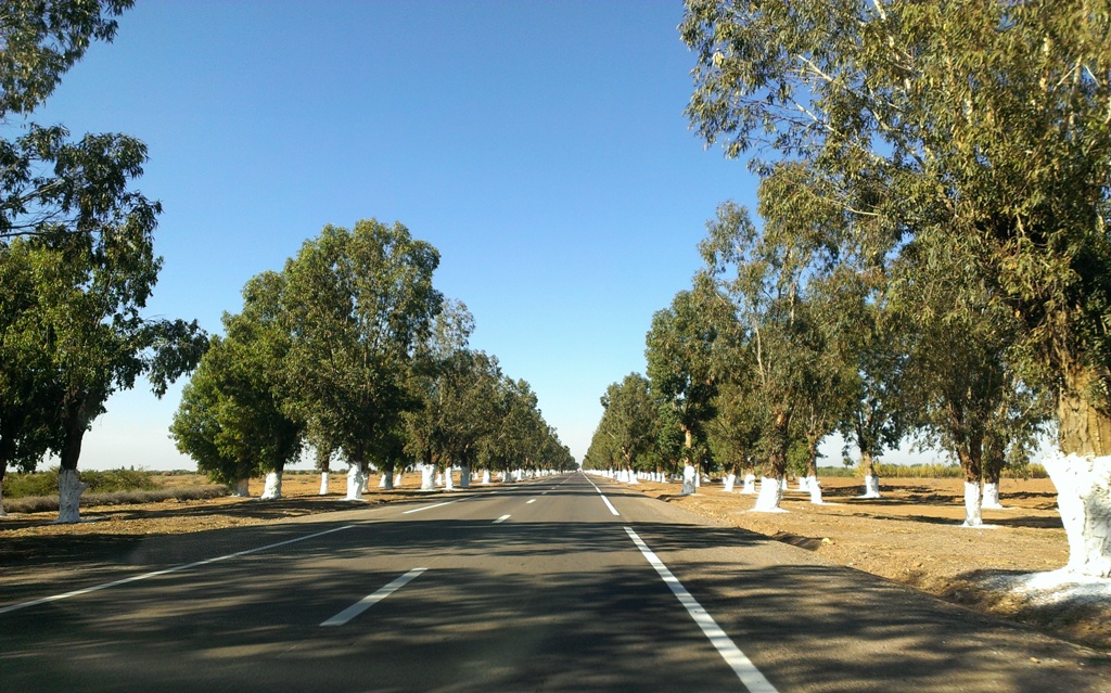 Cross-country road to Safi