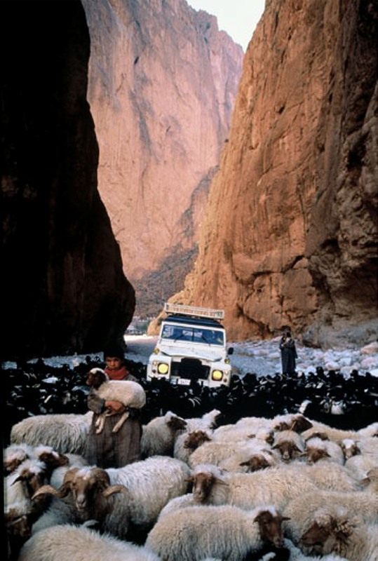 Shepherds at Todra Gorge