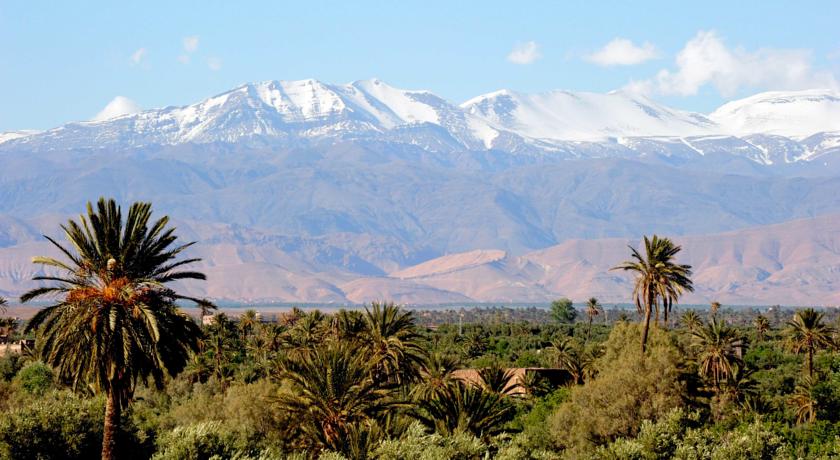 Skoura Oasis with High Atlas in the background