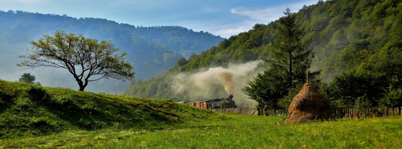 Vaser Valley steam train, Maramures