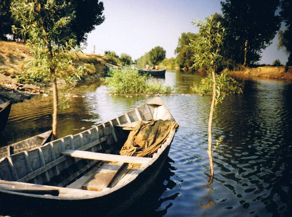 Danube Delta fishing boats