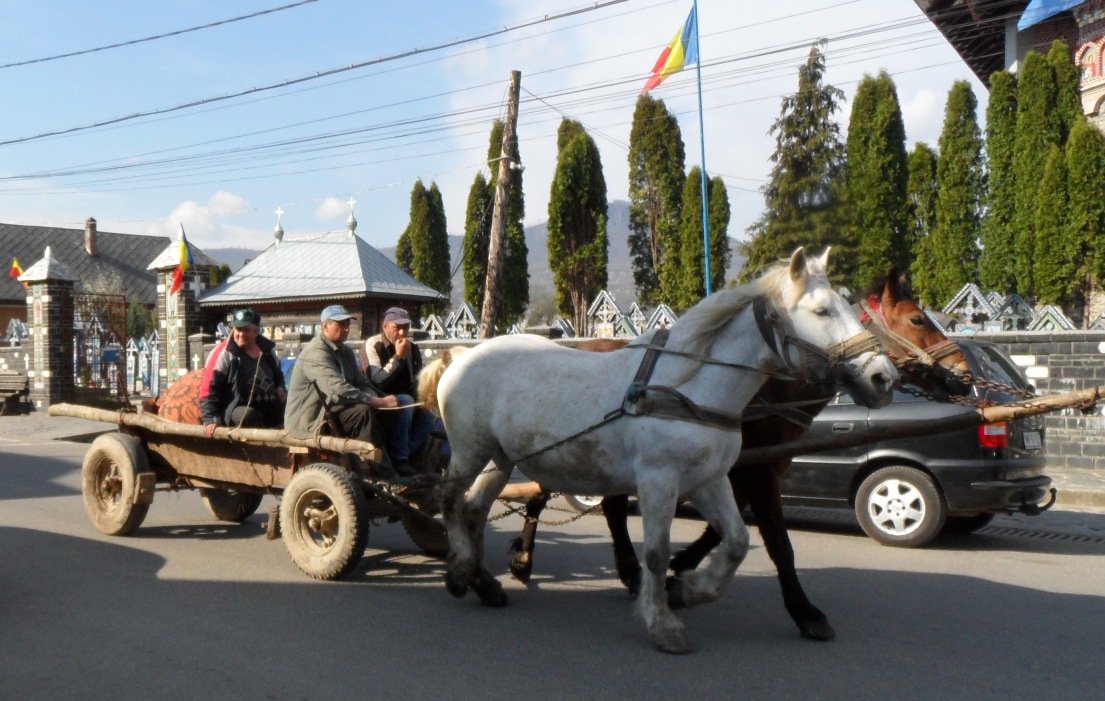Traditional transport outside Merry Cemetery, Sapanta