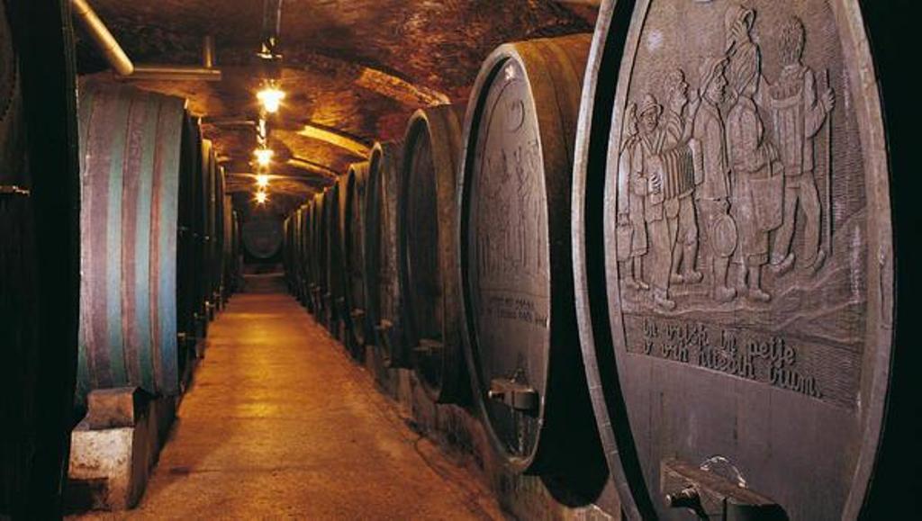 Wine cellar in Ptuj