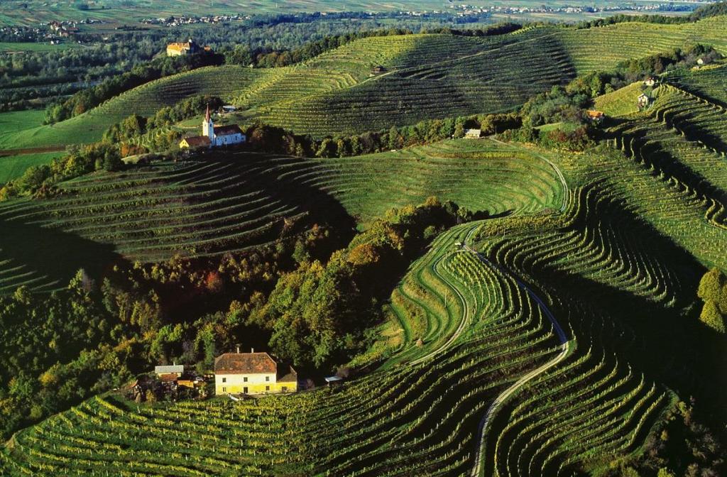 Wine region of eastern Slovenia