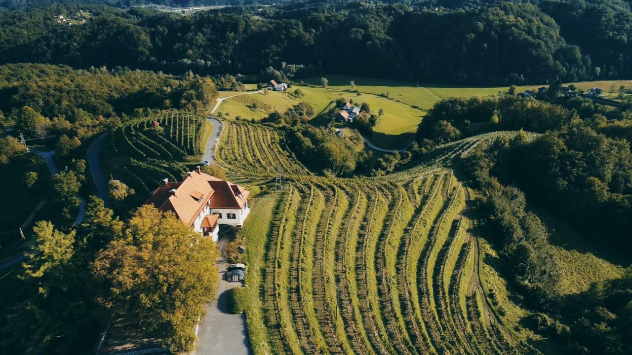 Wine region of eastern Slovenia